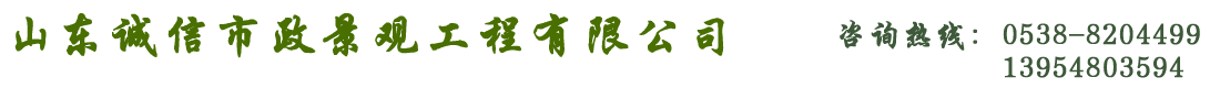 山东诚信市政景观工程有限公司